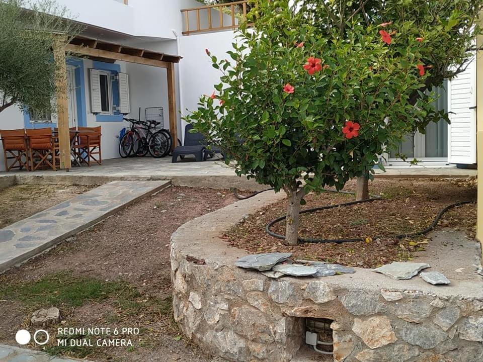 Alkioni Sea View Apartment Zakros Exterior photo