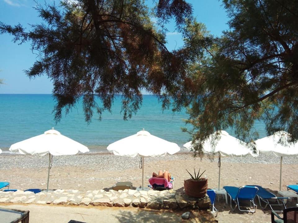 Alkioni Sea View Apartment Zakros Exterior photo
