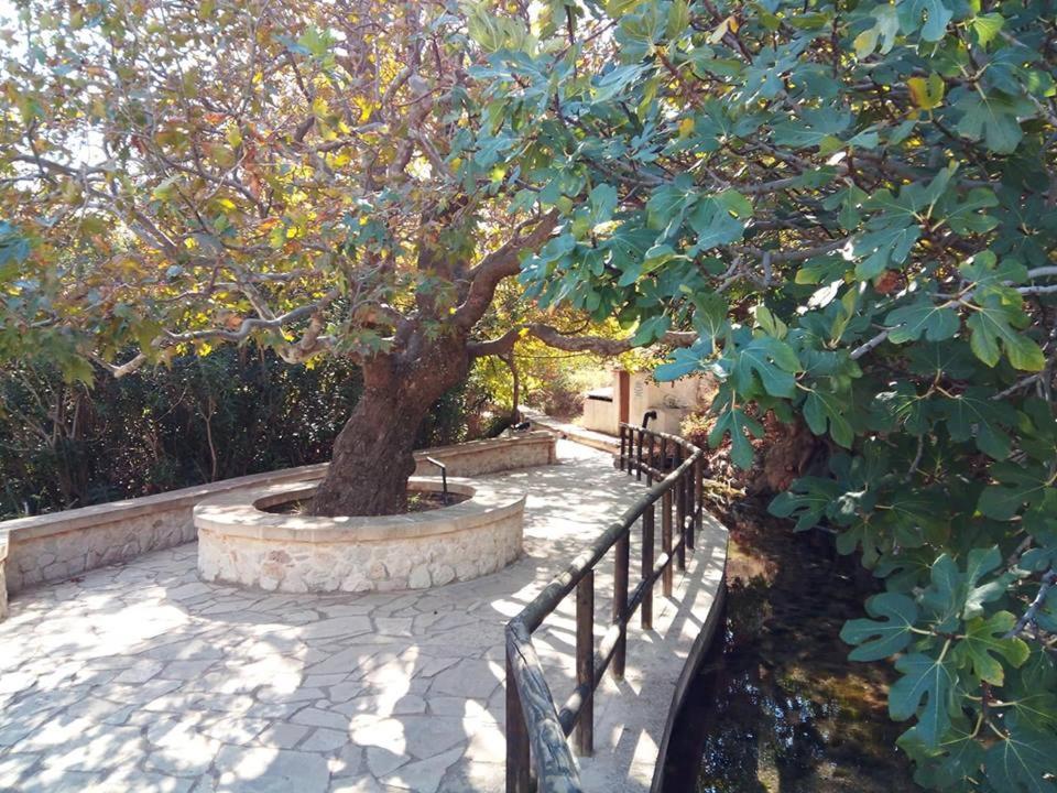 Alkioni Sea View Apartment Zakros Exterior photo